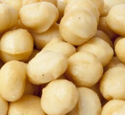 Raw. Unsalted Macadamia Nuts